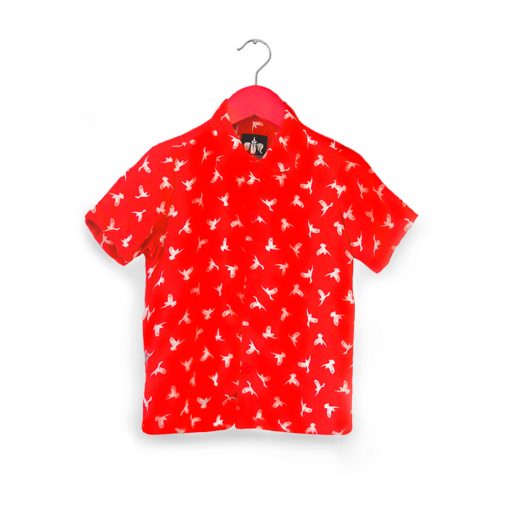 Camisa para niños con diseño de Aves . Tallas de 2 a 6 años